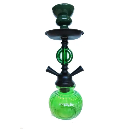 SHISHA GEO VERDE 1 MANGUERA 25CM.