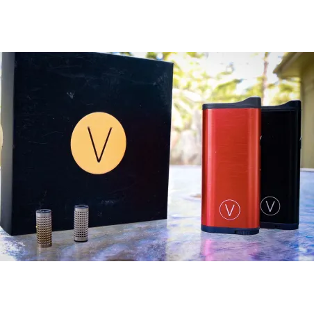 VAPORIZADOR VIE NEGRO