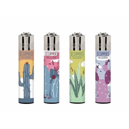 EXP48CLIPPERSPIKYCACTUS1