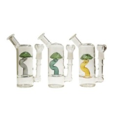 BONGCRISTALMAGICBONZAI20CM1