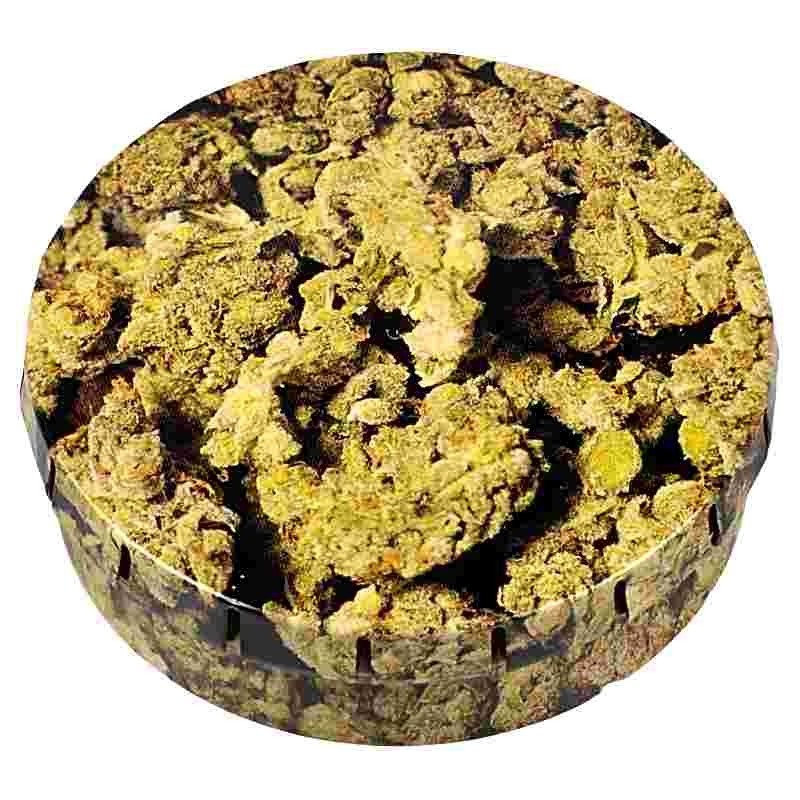 CLICK-CLACK5,5CMBUDS1