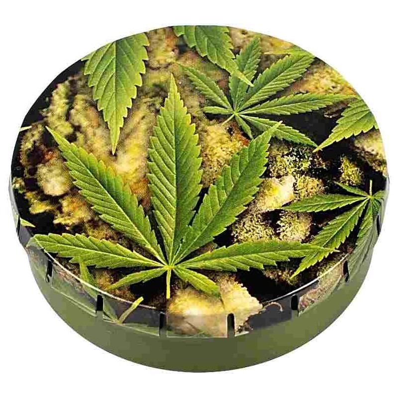 CLICK-CLACK5,5CMBUDS+LEAVES1