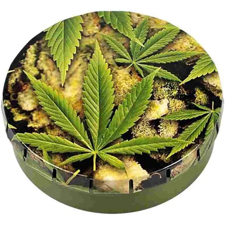 CLICK-CLACK5,5CMBUDS+LEAVES1