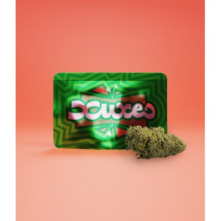 BOLSACBDXUXESWATERMELON3GR1