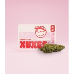 BOLSA CBD XUXES STRAWBERRY 3GR