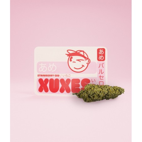 BOLSA CBD XUXES STRAWBERRY 3GR