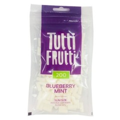 FILTROSTUTTIFRUTTIBLUEBERRYMINT200UDS(1X20)1