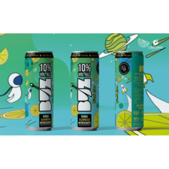 EXP 12 BOTES BUZ FREESH LIME 330ML (10%)