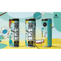 EXP 12 BOTES BUZ PIÑA COCO 330ML (10%)