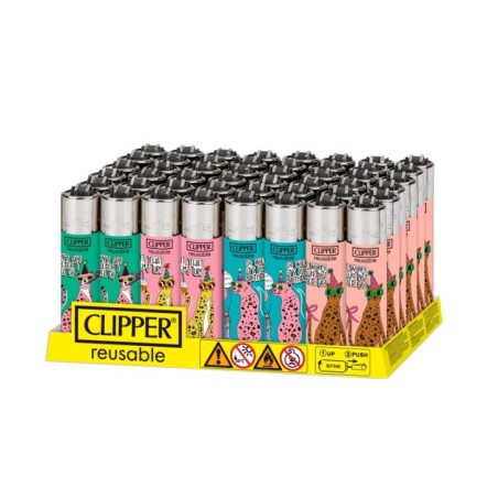 EXP48CLIPPERBIRTHDAYLEOPARD1