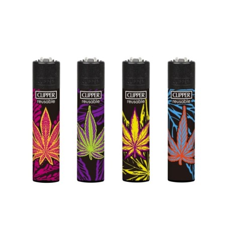 EXP48CLIPPERPSYCHOWEED1