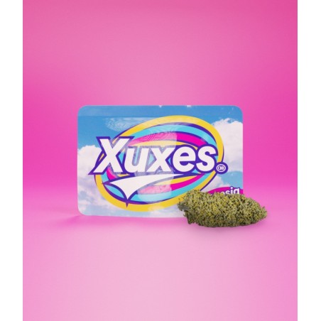 BOLSACBDXUXESAMNESIA3GR1