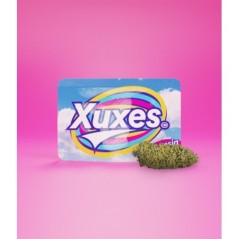 BOLSACBDXUXESAMNESIA3GR1